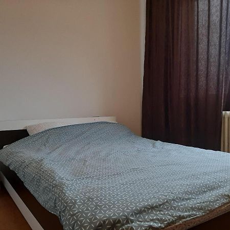 Ultracentral Apartment Bulevard Regele Mihai Nr 10, Sc A Ap 16 Temeşvar Dış mekan fotoğraf